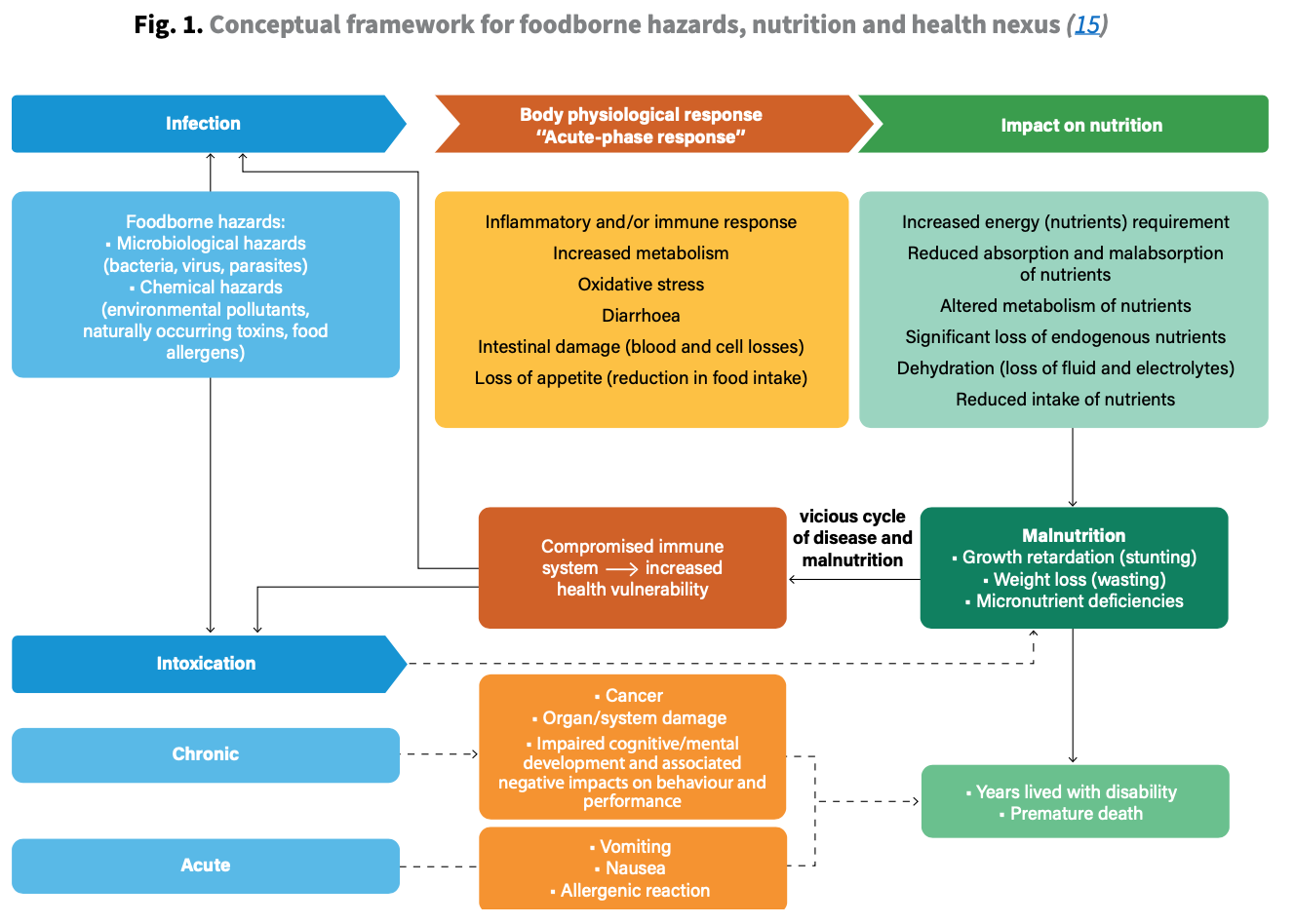 who-global-strategy-for-food-safety-2022-2030-november-2024-update